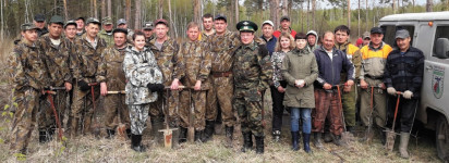 Мир стал зеленее