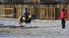 Рождественские старты