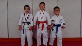 «Золотой тигр каратэ»