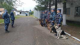 Учебно-методические сборы кинологов начались в ИК-47