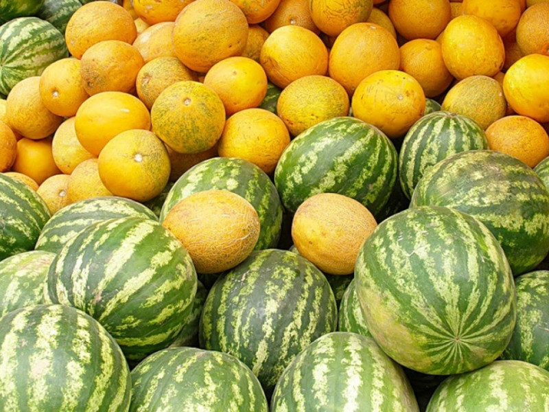 арбузы и дыни