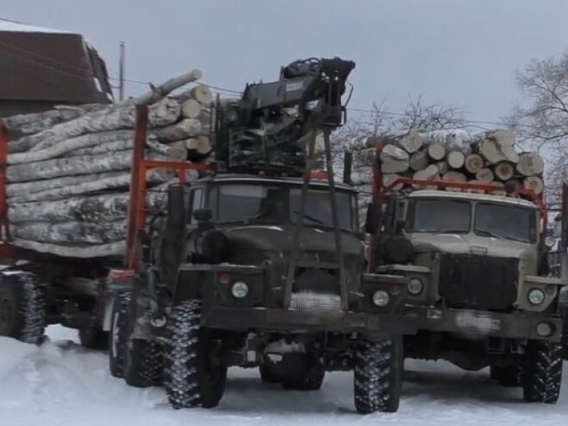 Оперативно-профилактическое мероприятие «Лес»
