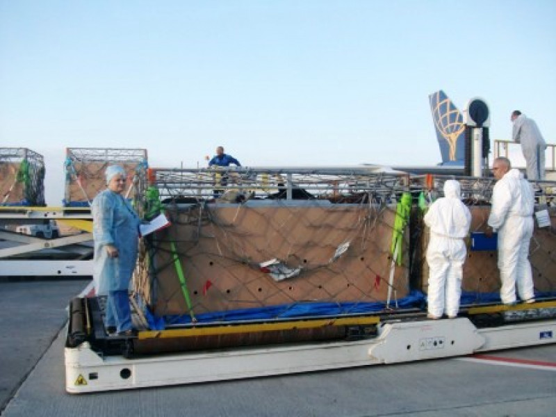 Ввоз племенного крупного рогатого скота на территорию РФ