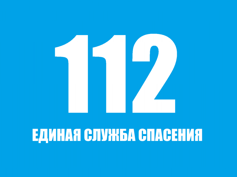 Если вдруг придет беда, номер экстренный - ты должен знать всегда!