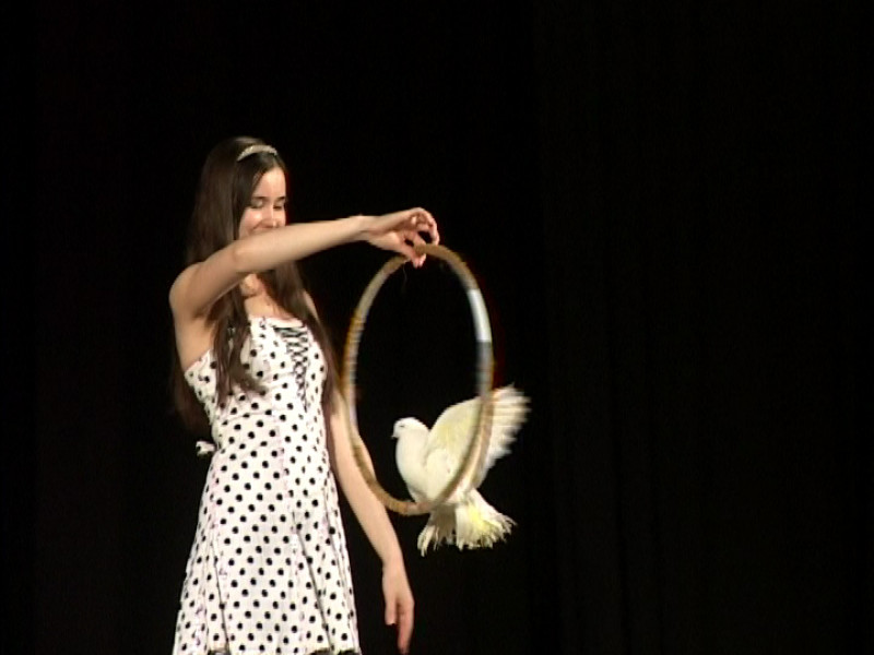 «Лазер» из 13 школы