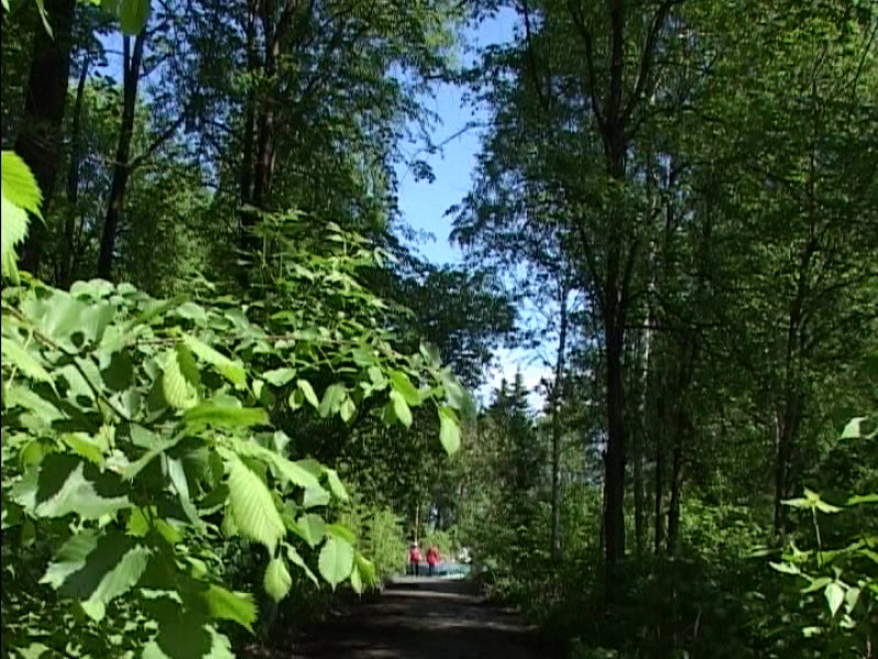 Старый парк