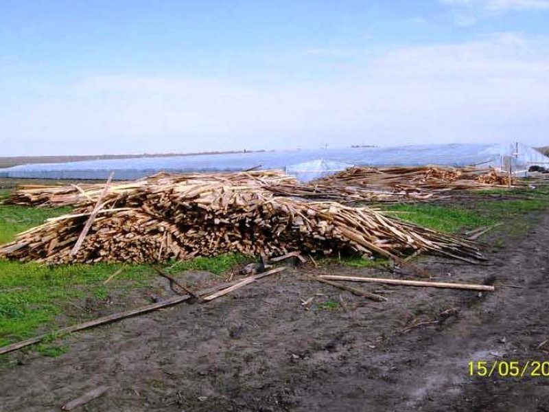 О проверке тепличных предприятий