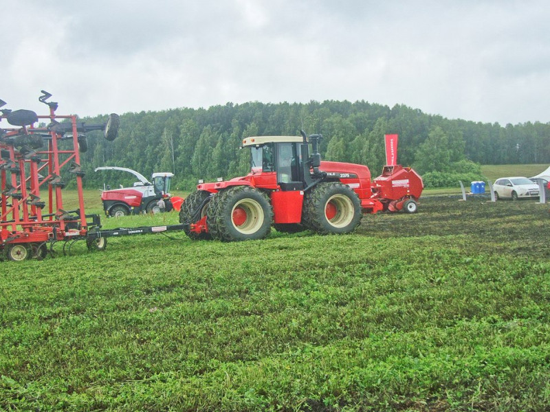 День поля 2016