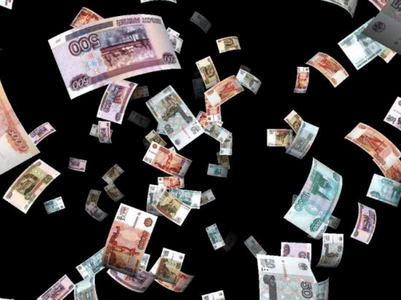 Глава Ирбитского района объяснила недоимку в бюджете бешенством и патриотическим воспитанием