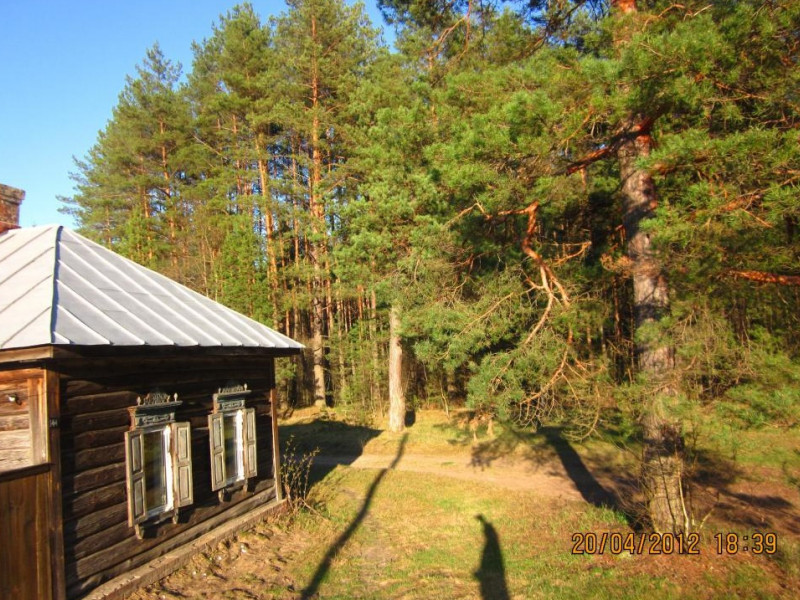 Обращение администрации города к собственникам жилых домов, расположенных рядом с лесом