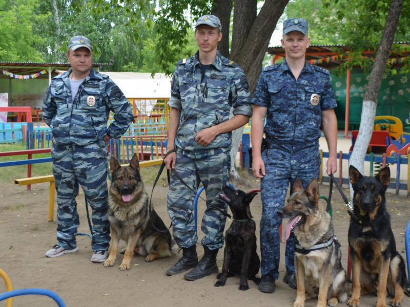 В Ирбите прошел парад кинологов
