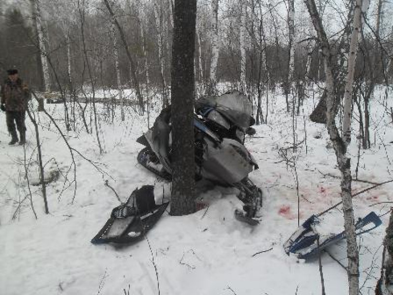 Водитель снегохода врезался в дерево
