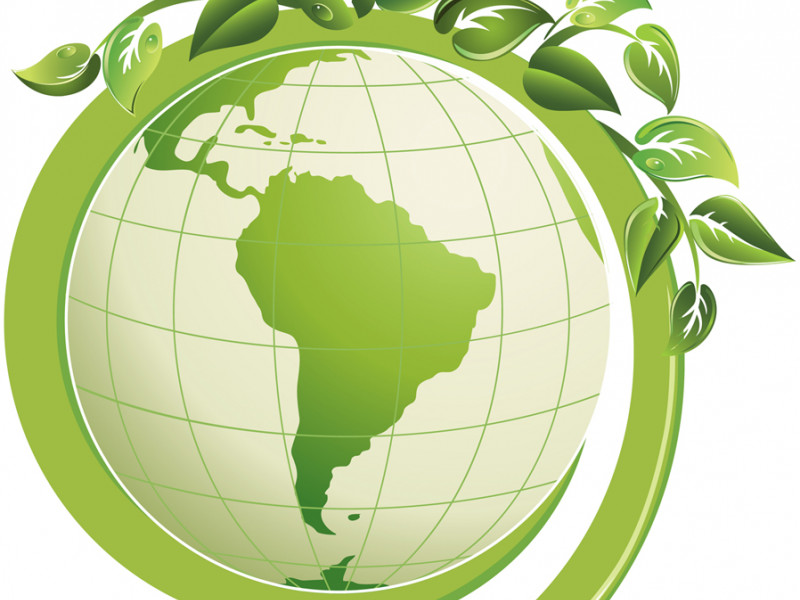 Папа, мама, я - экологическая семья