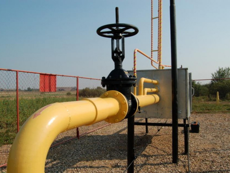 Ставка есть ставка!