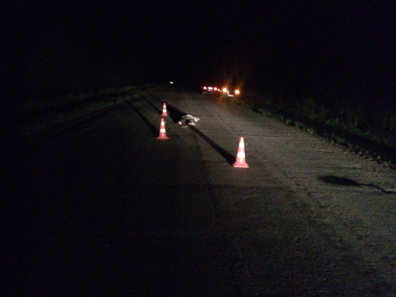 Внимание, розыск! В ДТП погиб пешеход