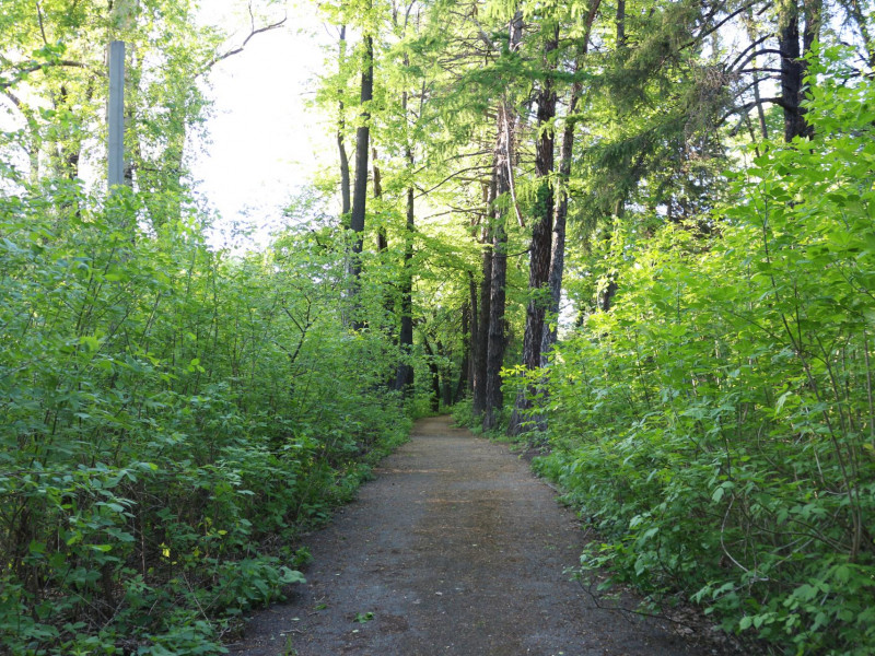 Ждем добровольцев для приборки территории старого городского парка