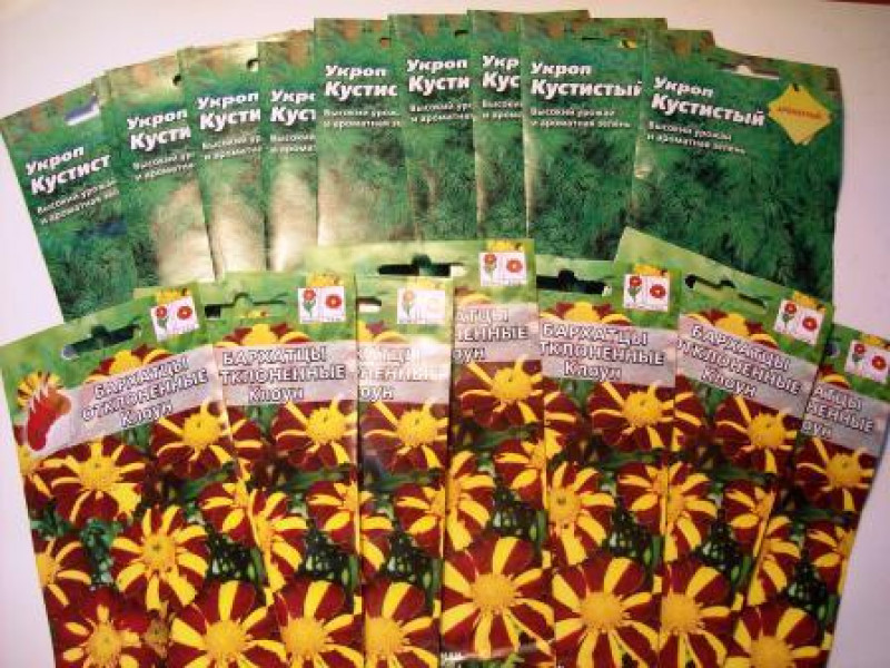 В семенах обнаружены карантинные сорняки