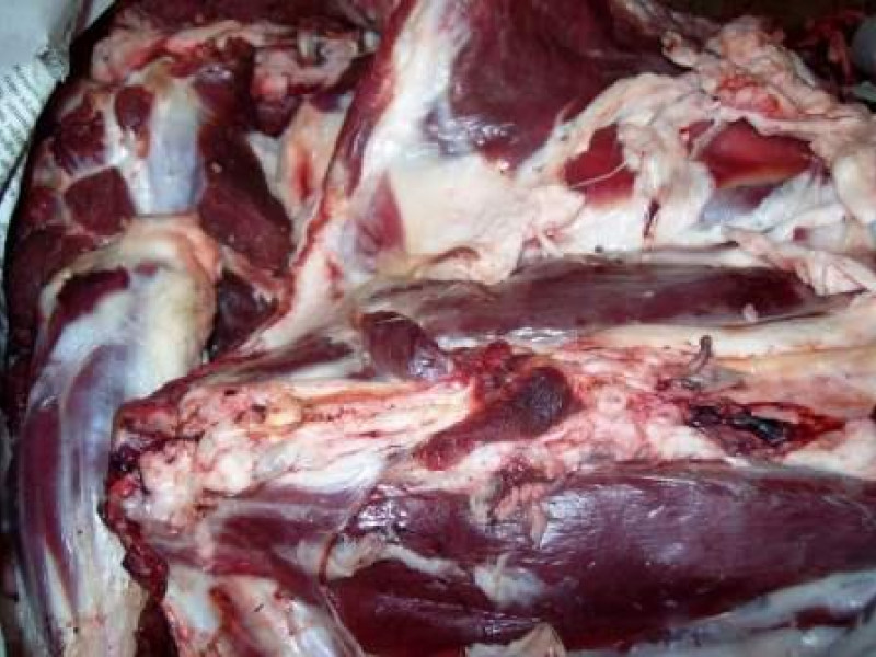 В аэропорту Кольцово г. Екатеринбурга задержаны подконтрольные грузы из Киргизии