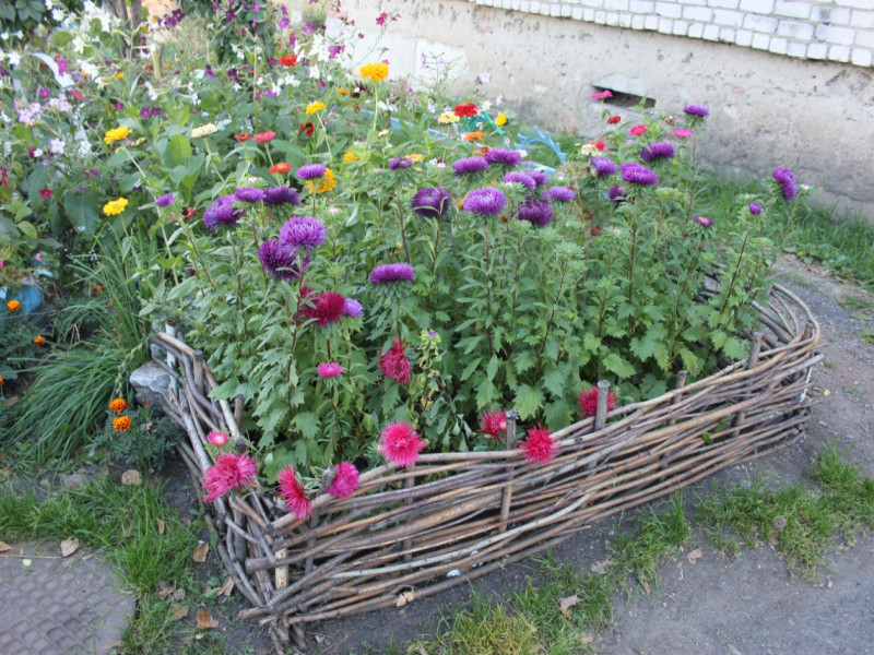 Конкурс на лучшую придомовую территорию