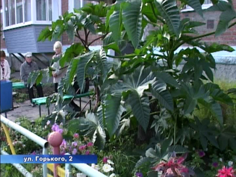 Конкурс «Красивый город» заканчивается