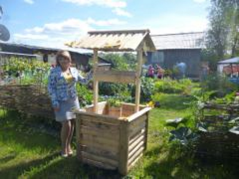 Лучший ландшафтный дизайн территории