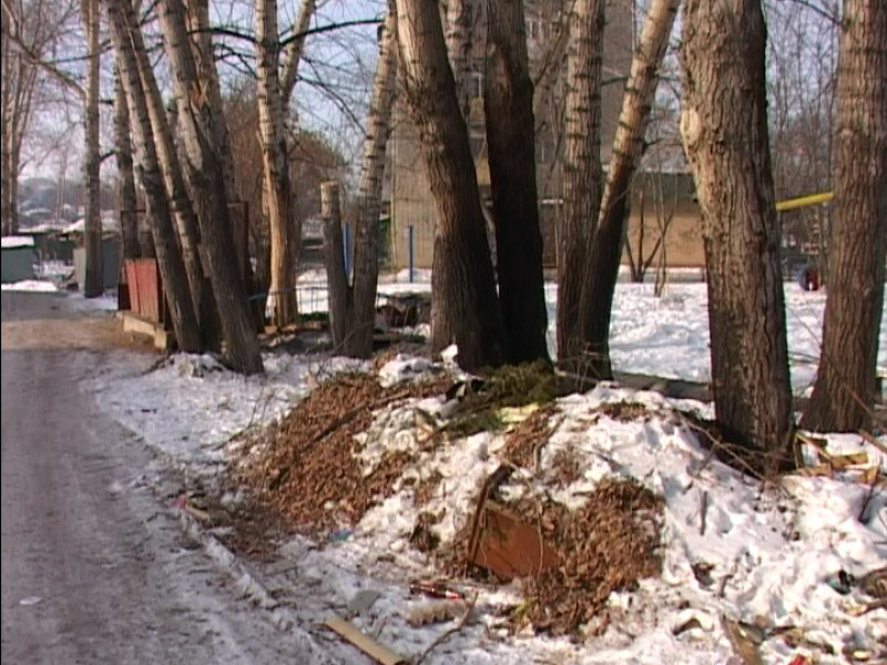 Актуально. Уборка мусора