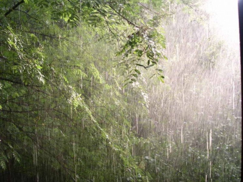 Будьте бдительны! 07 июня ожидаются сильные дожди, грозы, град, сильный ветер