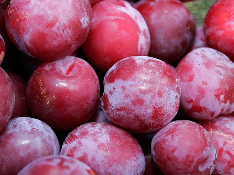 Слива завезена с нарушением