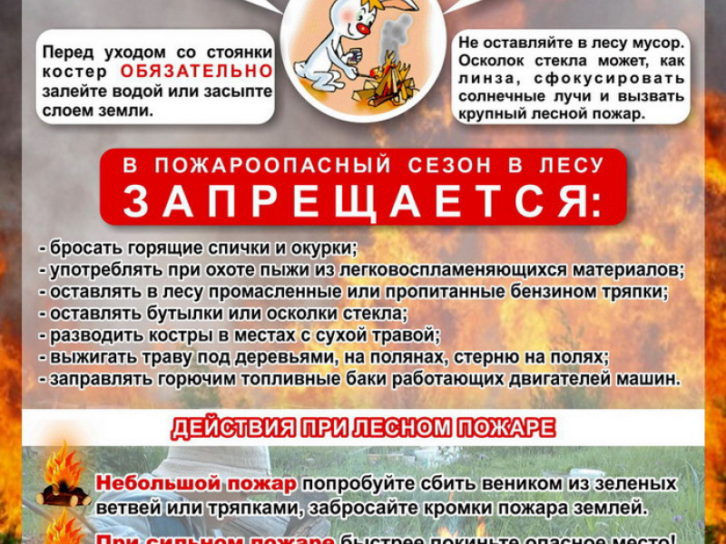 Внимание! Лесные пожары