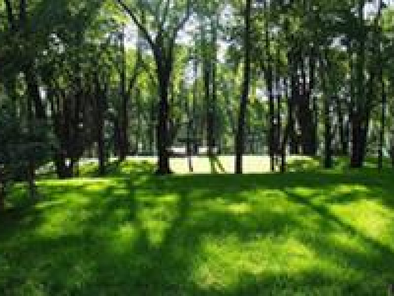 "Старый парк" благоустроят