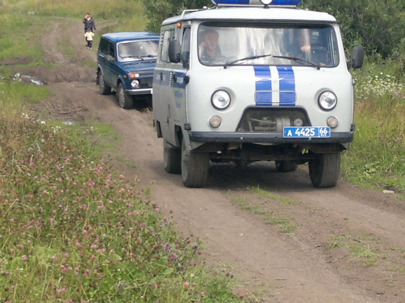 В Ирбите полицейские организовали поиски пропавшего грибника