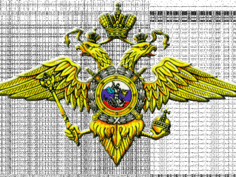 Внимание. Розыск