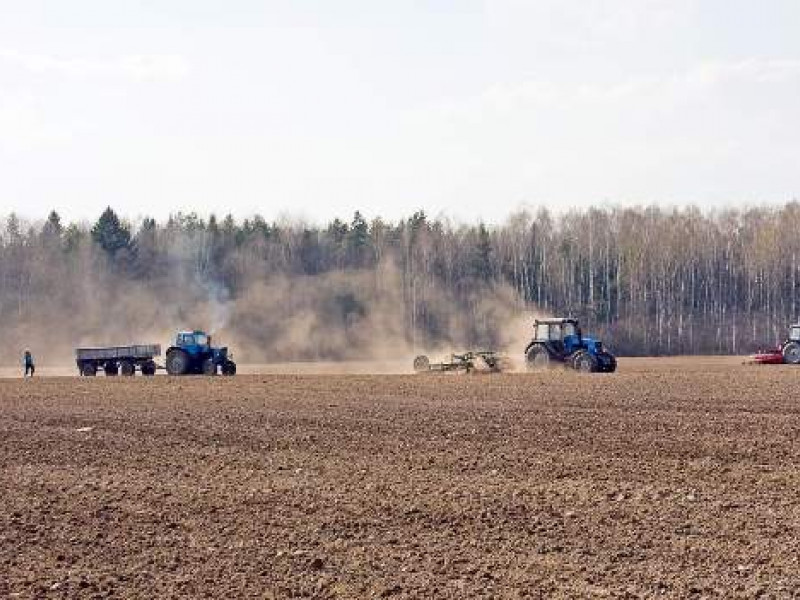 Сев прошел на 455 тысячах гектаров