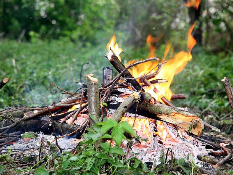 Особый противопожарный режим