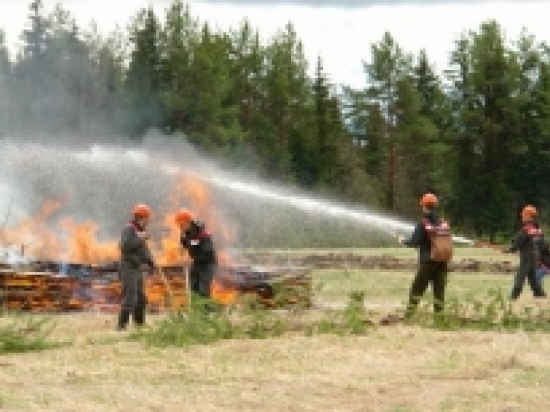 За четыре дня на Среднем Урале произошло 56 пожаров: погибло 6 человек