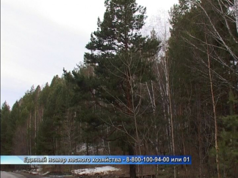 Противопожарный режим