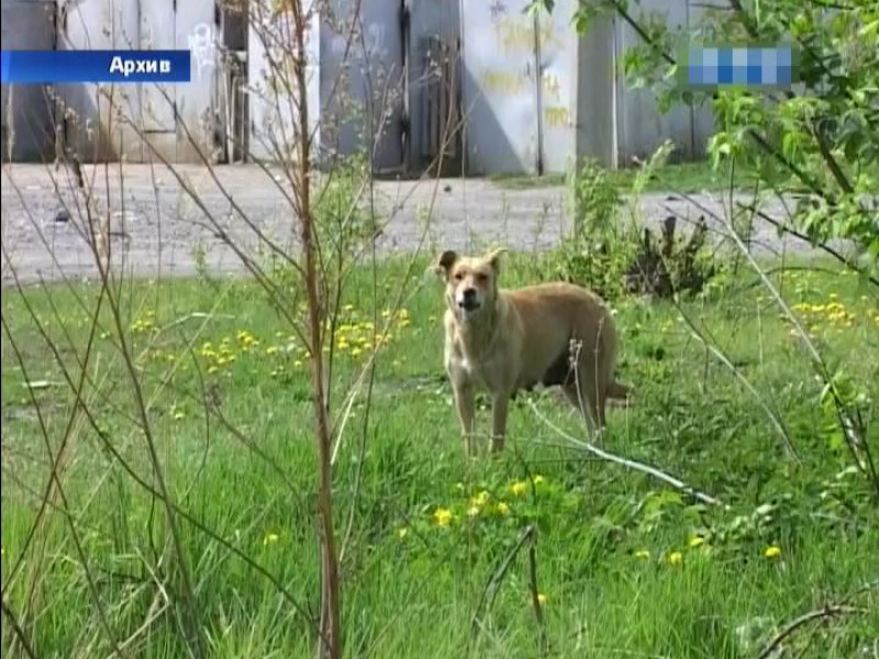 Официально. Противоэпидемическая комиссия