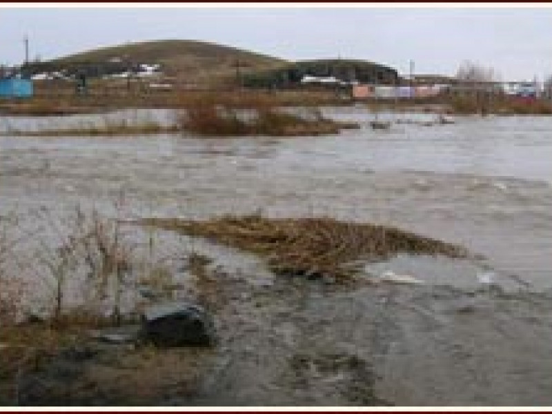 Ирбитская река Ница стала глубже и чище