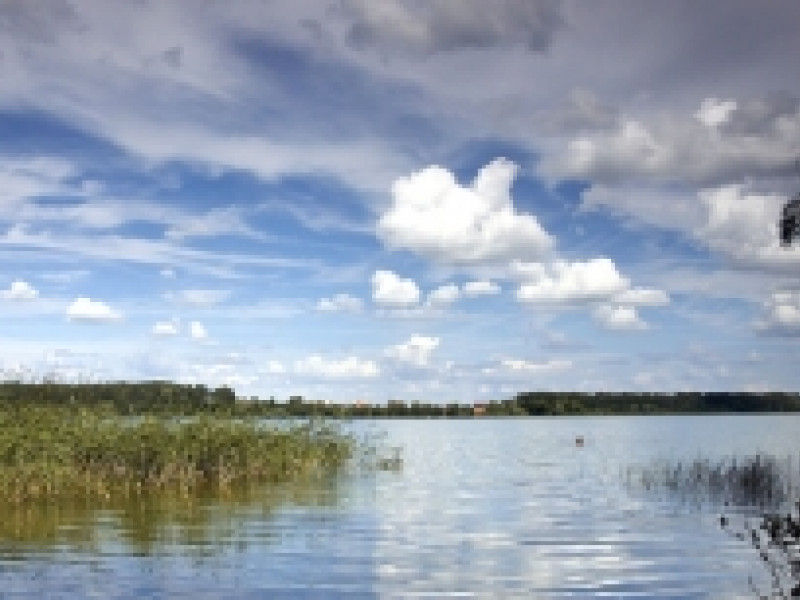 В свердловской деревне утонули два семилетних мальчика