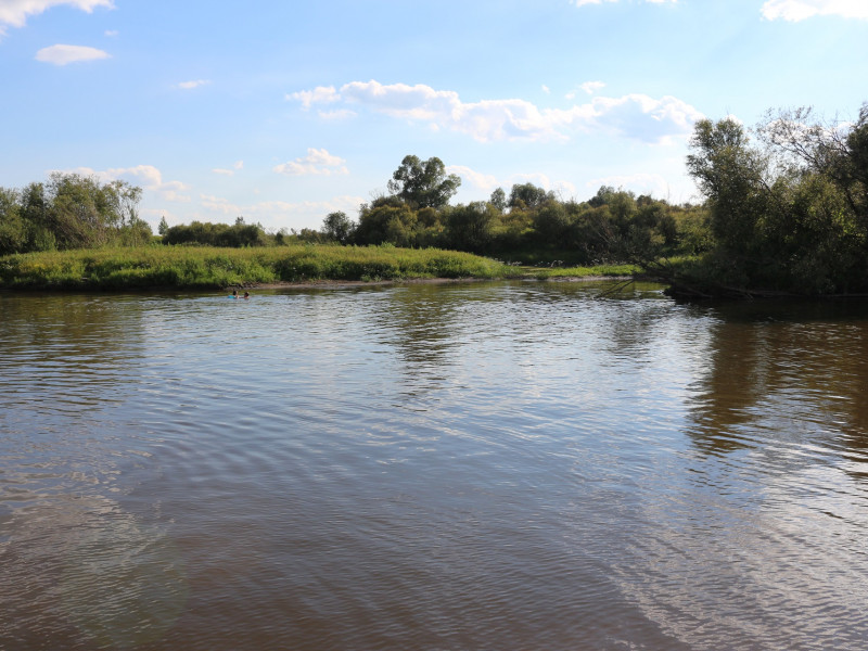 Состояние водных объектов на территории МО город Ирбит