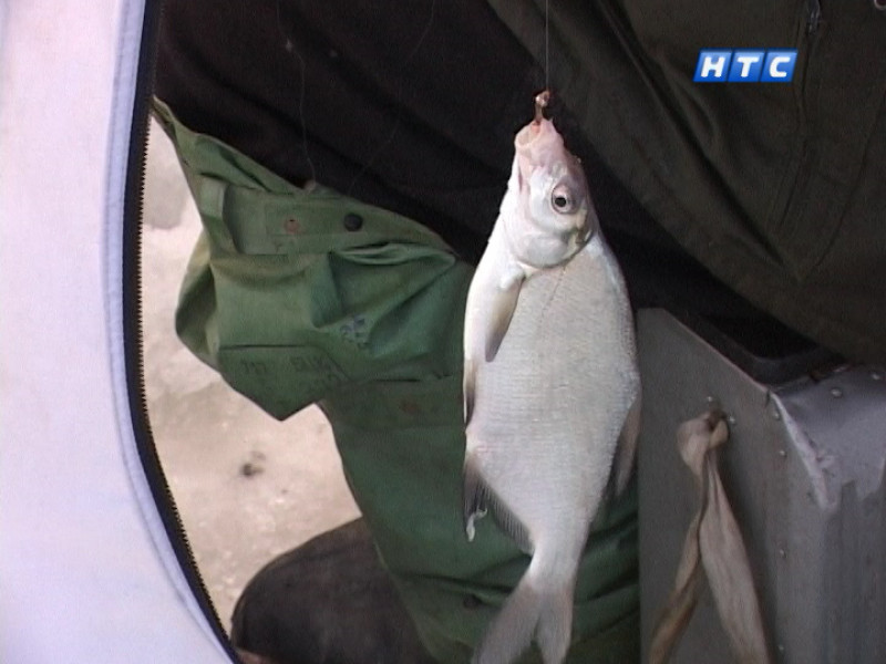 Любимое мужское увлечение – рыбалка (видеосюжет)