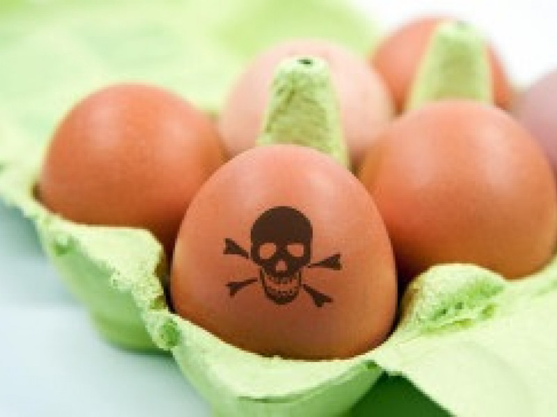 Профилактика сальмонеллеза