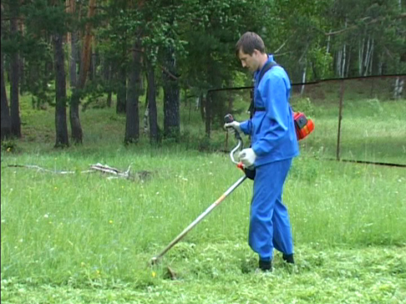 «Салют» ждёт детей