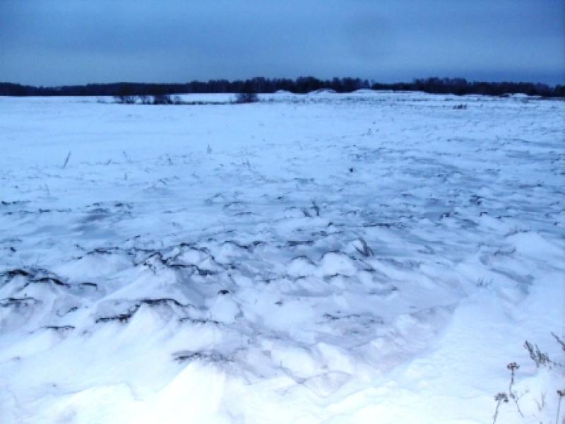 О введении в оборот заросшего участка сельскохозяйственного назначения