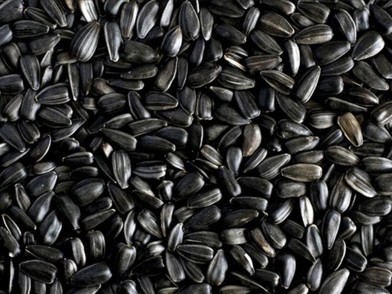 «Тяжелые» семечки