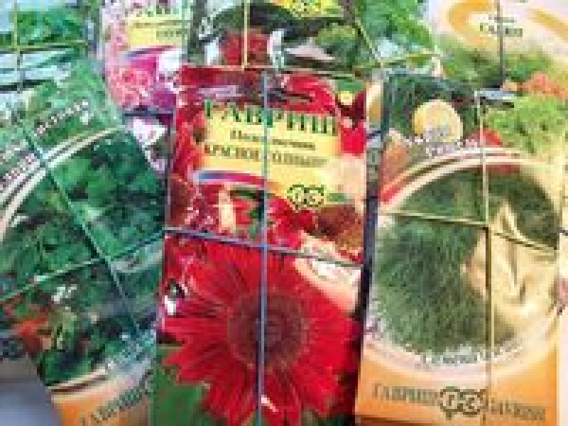 В преддверии садового сезона