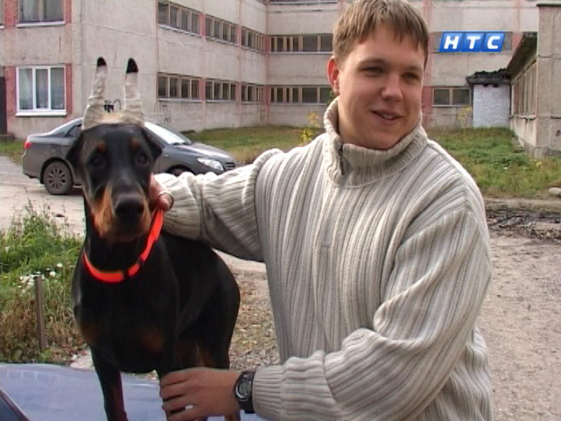 Выставка собак