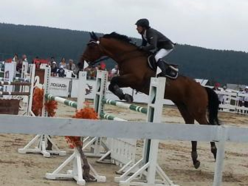 На Урале прошли соревнования по конкуру - международный Кубок губернатора Свердловской области