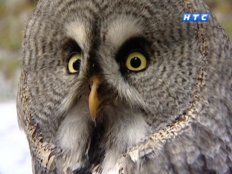 Уникальный эксперимент