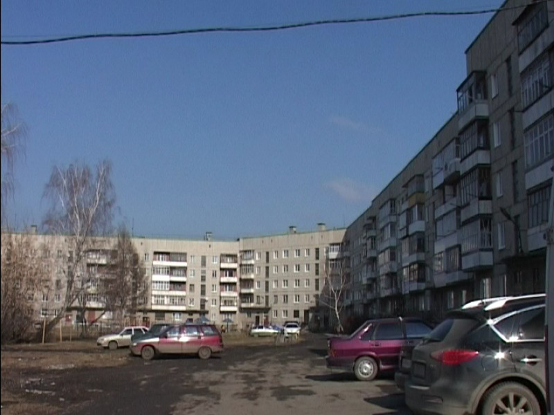 Срубили деревья…